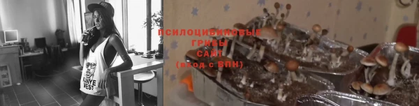 ALPHA-PVP Арсеньев