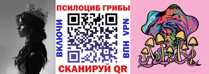 Псилоцибиновые грибы GOLDEN TEACHER  где найти наркотики  Тейково 